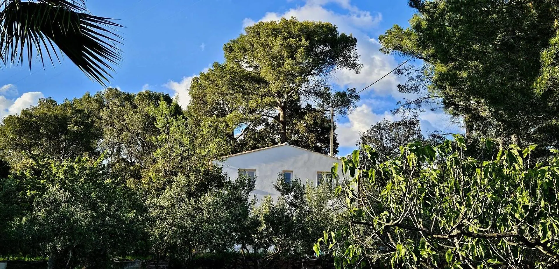 Bastidon Du Camp De Jeanne Villa Cuers